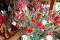 Penjual Bunga dan Boneka Hari Kasih Sayang