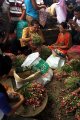 Rizal Ramli Pantau Harga Bawang