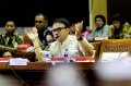 Adi Bing Slamet di Komisi III DPR RI