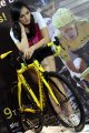 Pameran Inabicycle 2013