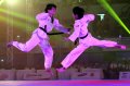Atlet Taekwondo Indonesia