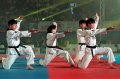 Atlet Taekwondo Indonesia