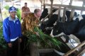 Marco Spits Melihat Peternak Sapi Perah