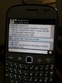 BBM Percakapan Vitalia Shesya dengan Anggita Sari
