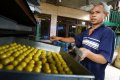 Kue Lebaran Mulai Kebanjiran Pesanan
