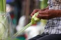 Penjual Kulit Ketupat Lebaran
