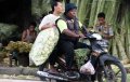 Penjual Kulit Ketupat Lebaran