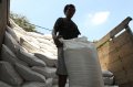 Harga Kedelai Impor Semakin Melambung Tinggi