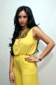 Shinta Bachir
