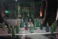 Final World Muslimah 2013