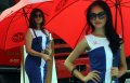 Pesona Sales Promotion Girl IIMS 2013