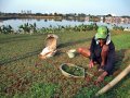 Waduk Ria Rio
