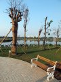 Waduk Ria Rio