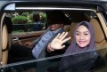 Eddies Adelia