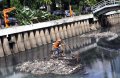 Jaring Untuk Perangkap Sampah