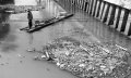 Jaring Untuk Perangkap Sampah