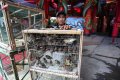 Pedagang Burung Pipit Laris Manis