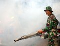 Fogging Serentak di Jakarta Pasca Banjir