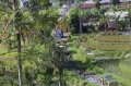Upacara Melasti di Pura Uludanu Bedugul Bali