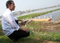Capres Jokowi Kunjungi Waduk Pluit