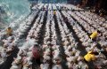 Hungry Ghost Festival 2014