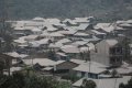 Tertutup Abu Vulkanik Gunung Sinabung