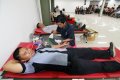 Donor Darah Gramedia Nasional 2014