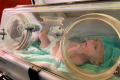 28 Bayi Prematur Gaza Dievakuasi ke New Capital Hospital Kairo