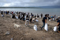 Aksi Bersih-bersih Warga dan Wisatawan di Pantai Kuta