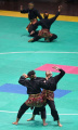 Apel-Nasional-Pendekar-Pencak-Silat-Indonesia_20250601_134637.jpg