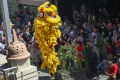 Atraksi-Barongsai-Meriahkan-Imlek_20250129_133541.jpg