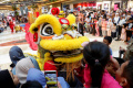 Atraksi-Barongsai-di-Pondok-Indah-Mall_20250129_170137.jpg