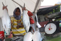 Berburu Bandeng di Rawa Belong