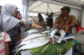 Berburu Bandeng di Rawa Belong