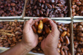 Berburu-Buah-Kurma-di-Pasar-Tanah-Abang_20250301_185401.jpg