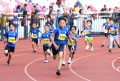 Berpetualang-dan-Asah-Pengembangan-Karakter-Anak-di-Taro-Junior_20241014_234117.jpg