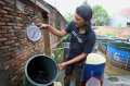 Budidaya-Ikan-Lele-di-DE-Farm-Pedurenan_20250525_153313.jpg