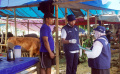 DKP3-Tangsel-Periksa-Kesehatan-Hewan-Kurban_20250605_093753.jpg