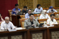 DPR Setujui Naturalisasi Eliano Reijnders dan Mees Hilgers