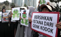 Demonstrasi Aksi 411