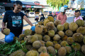 Durian-Aceh_20250204_091842.jpg