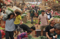 Harga Pangan Mulai Naik