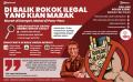 INFOGRAFIS Di Balik Rokok Ilegal yang Kian Marak INFOGRAFIS Di Balik Rokok Ilegal yang Kian Marak