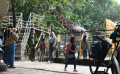 Kebun-Binatang-Surabaya-Siapkan-Pertunjukan-Tambahan_20250125_084253.jpg