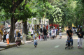 Kebun-Binatang-Surabaya-Siapkan-Pertunjukan-Tambahan_20250125_084616.jpg