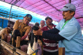 Kesehatan-Hewan-Kurban-di-Kota-Malang_20250604_062859.jpg