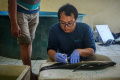 Kolaborasi-Selamatkan-Ikan-Belida-Sungai-Musi_20240919_231106.jpg