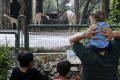 Libur Natal di Kebun Binatang Ragunan