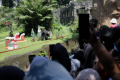 Libur Natal di Kebun Binatang Ragunan