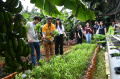 Mahasiswa-Asing-Pelajari-UMKM-Padat-Karya_20250114_150500.jpg